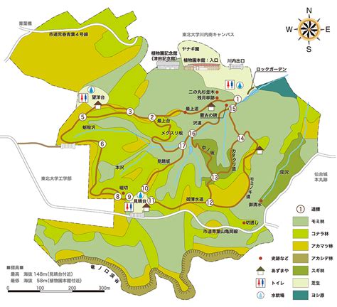 東北 植物|園内案内 ｜ 東北大学植物